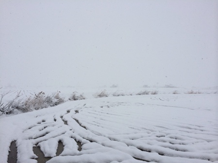 一面雪景色-比布町内から見た風景|社長のブログ | 大熊養鶏場