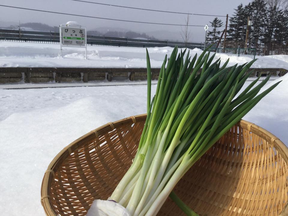 比布の特産！旬の食材の美味しさ-北海道の美味しい食べ物の話|社長のブログ | 大熊養鶏場