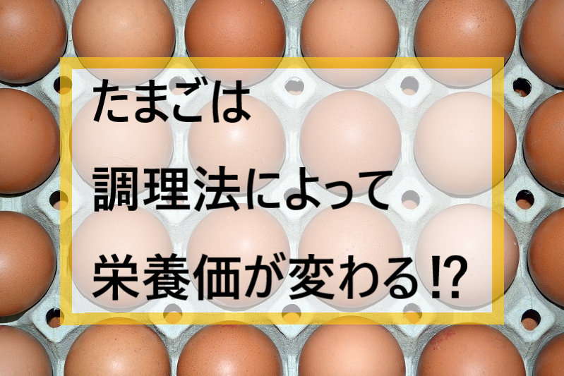 栄養価の高い卵を食べる際にどの調理法がベストな食べ方？オススメ調理法を伝授！-卵(たまご)の話|社長のブログ | 大熊養鶏場