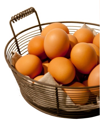 日々の食事に卵を追加するだけ！完全栄養食の卵を毎日摂って健康に過ごそう♪-卵(たまご)の話|社長のブログ | 大熊養鶏場