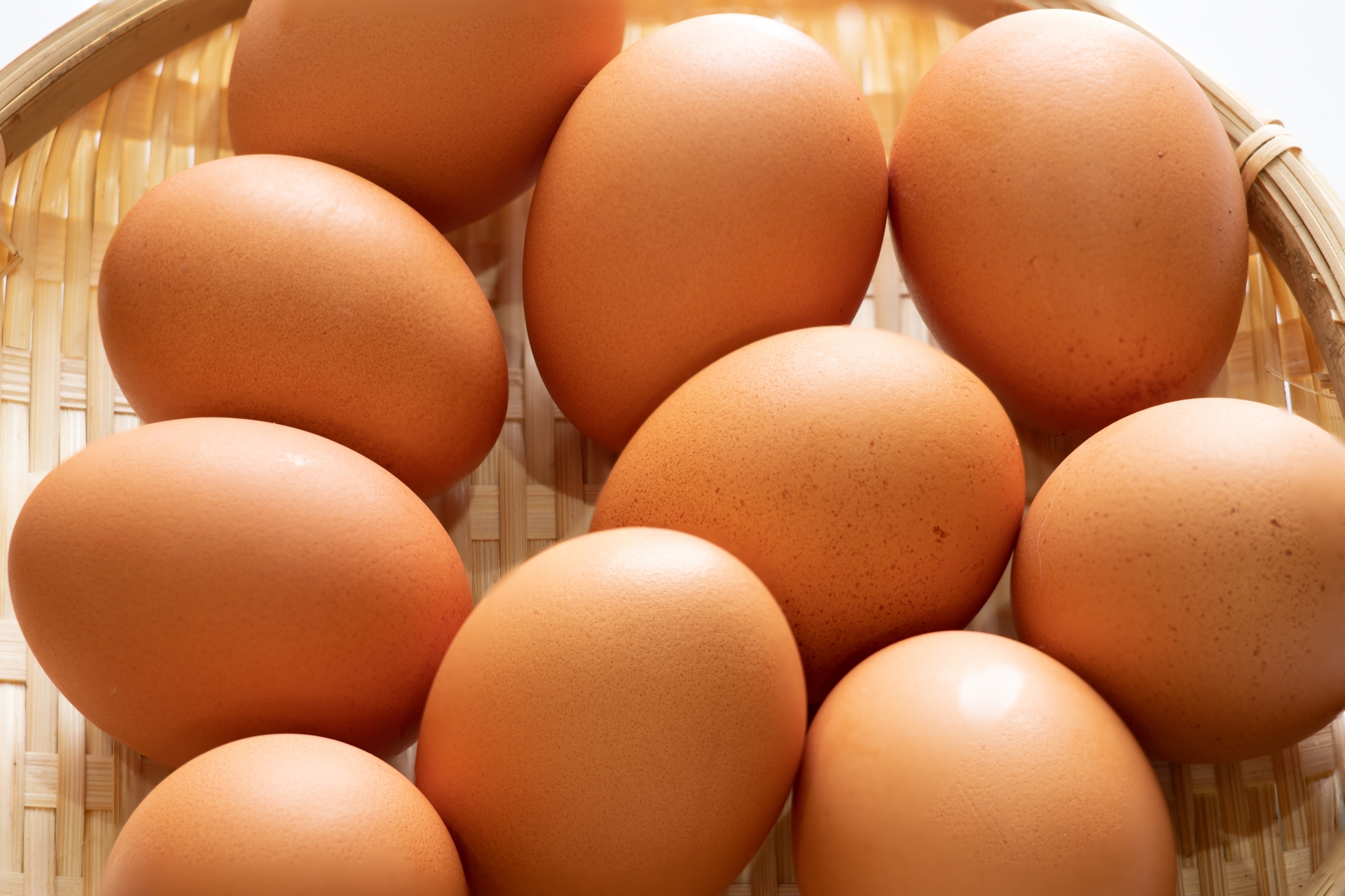 「大寒の卵」は、一年の健康と金運を呼ぶ縁起物の卵-インフォメーション|社長のブログ | 大熊養鶏場
