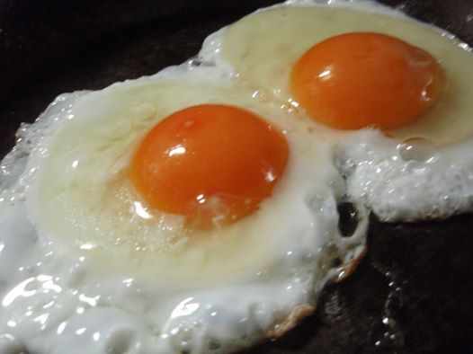 卵レシピ-卵(たまご)を美味しく食べる|社長のブログ | 大熊養鶏場