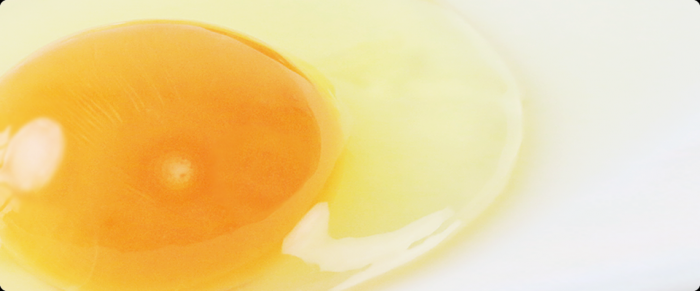 卵の必須アミノ酸９つの効能効果-卵(たまご)の話|社長のブログ | 大熊養鶏場