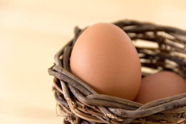 卵の栄養で風邪を予防！-卵(たまご)の話|社長のブログ | 大熊養鶏場