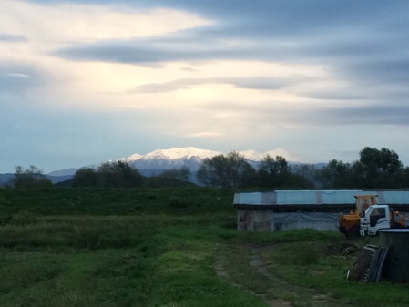 山が明るい-比布町内から見た風景|社長のブログ | 大熊養鶏場