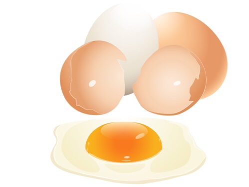 朝ごはん-卵(たまご)の話|社長のブログ | 大熊養鶏場
