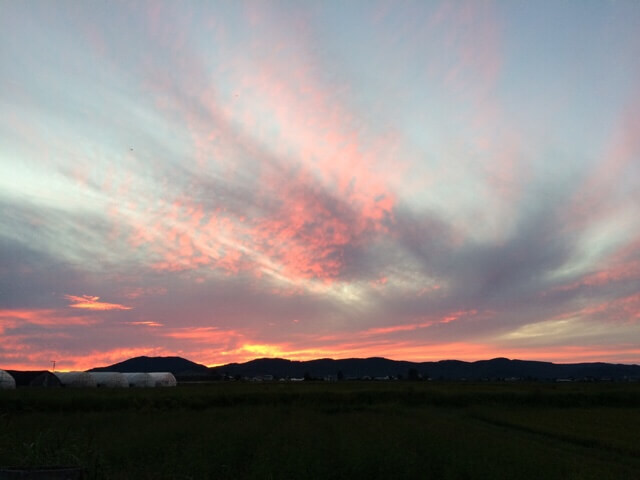今日の赤い夕空が眩しかったです。-比布町内から見た風景|社長のブログ | 大熊養鶏場