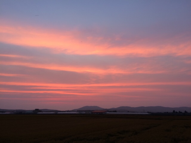 赤く染めていた夕空-比布町内から見た風景|社長のブログ | 大熊養鶏場