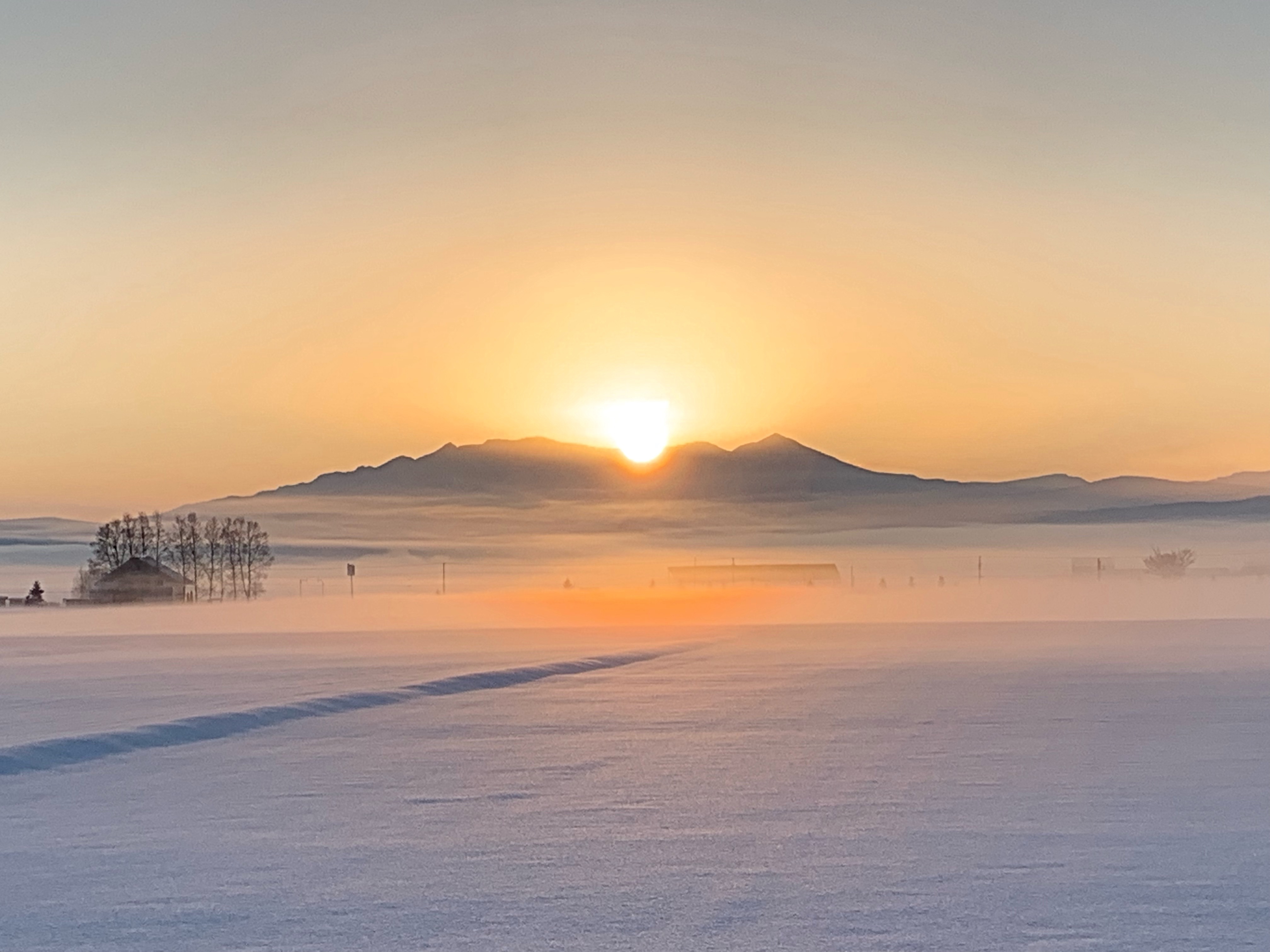 冷え込み厳しい朝の大雪山-比布町内から見た風景|社長のブログ | 大熊養鶏場